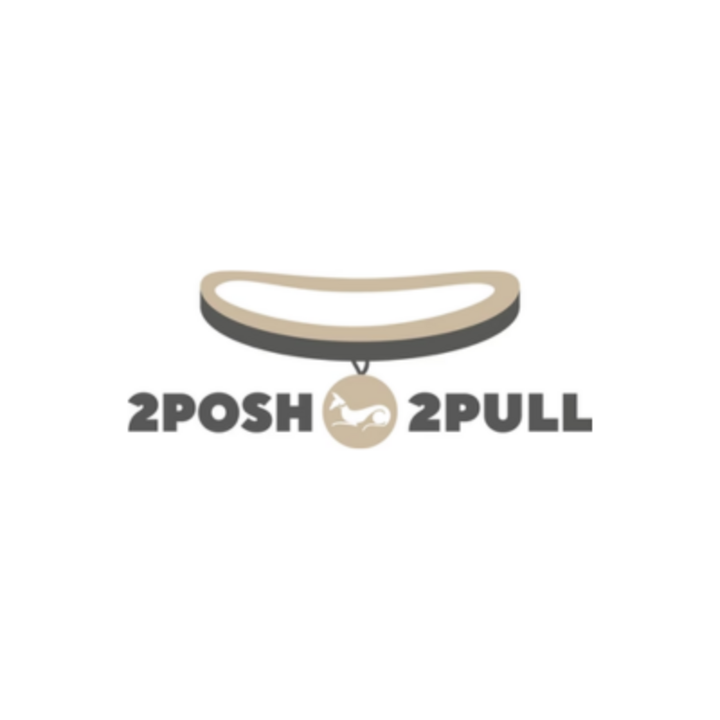 2posh2pull profile photo