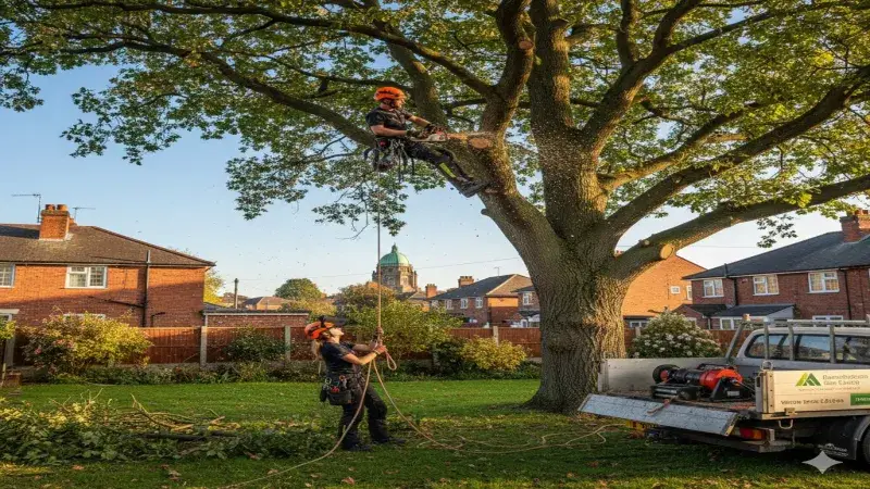 Strategic Email Marketing for Tree Surgeons in Birmingham: A Guide to Local Growth