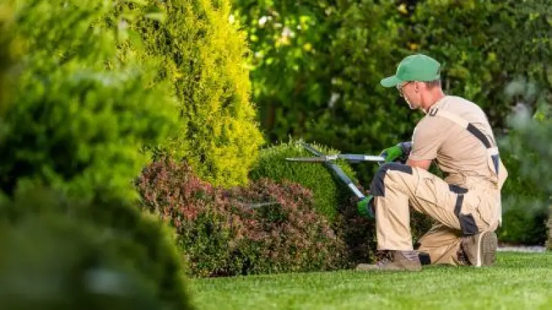 Website Designing for Gardener London