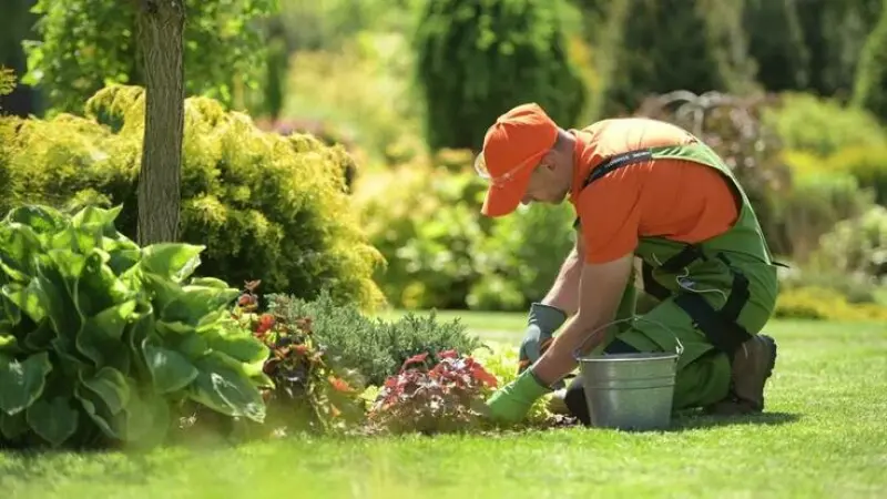 SMO  for Gardeners in London  - Local Social Growth