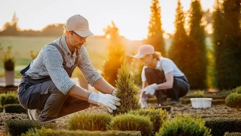 PPC for Gardeners in London  - High-Intent Leads