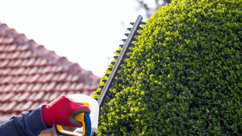 Digital Marketing for Gardeners in London  - Grow