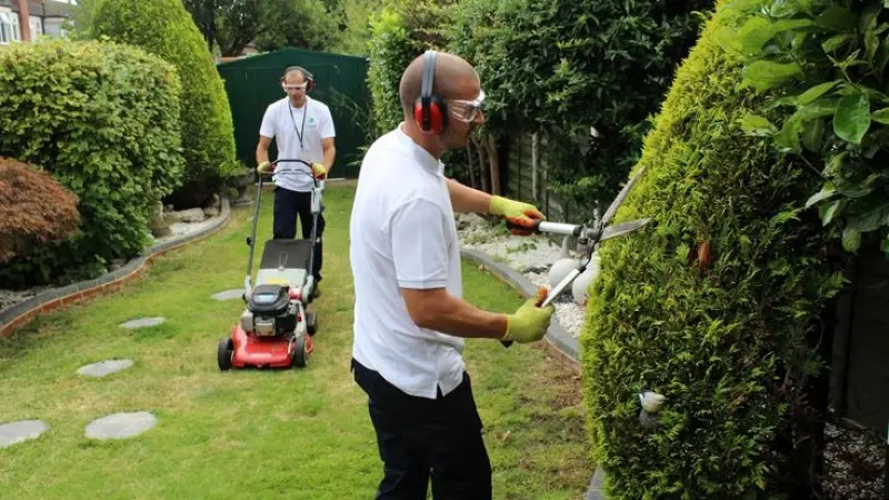 Website Designing for London Landscape Gardeners