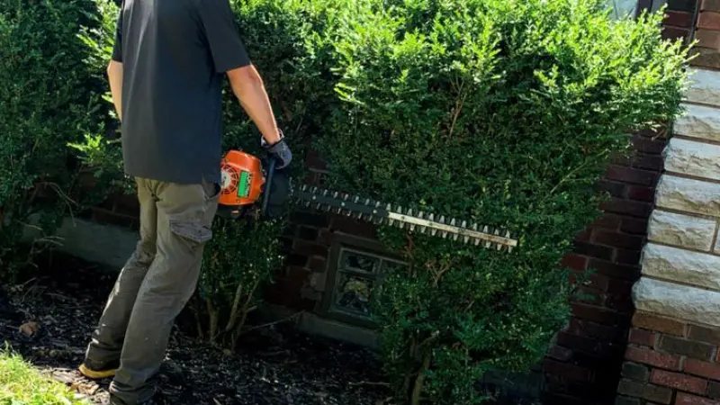 Website Development for London Landscape Gardeners