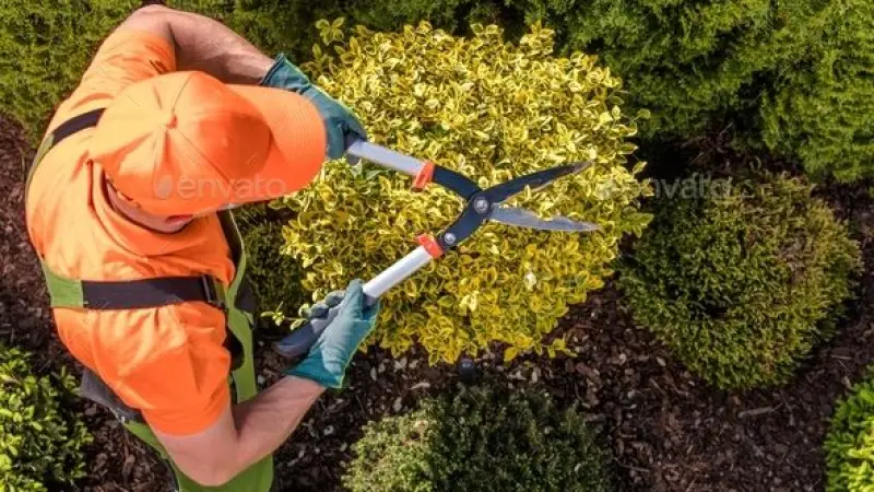 SMO for London Landscape Gardeners  - Social Growth
