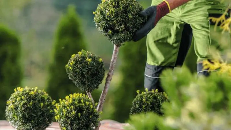 PPC for London Landscape Gardeners