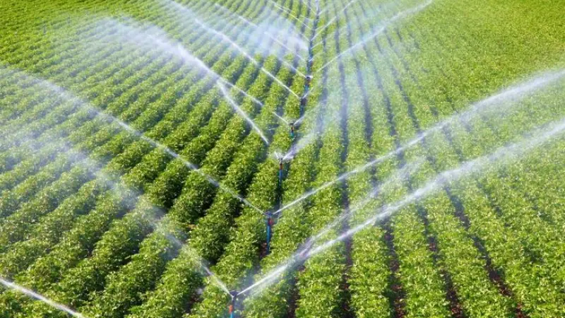 Online Reputation Management for London Landscape Gardeners