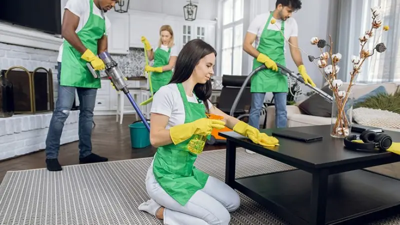 Top Rated & Reliable Domestic Cleaner in London