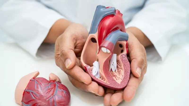 Online Reputation Management for Cardiologists in London