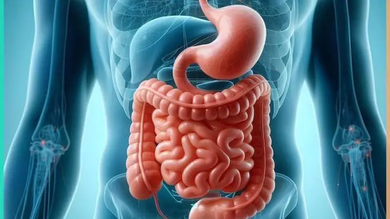 Website Development for Gastroenterologists in London