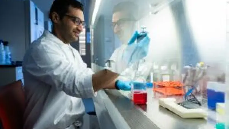 Website Development for Immunologists London