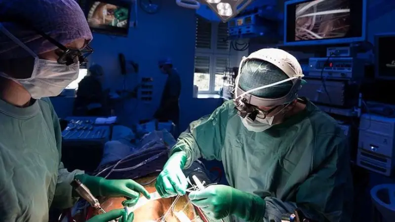 SEO for Cardiothoracic Surgeon in London