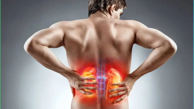 SEO for Urologists in London