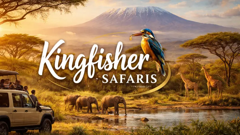 Kingfisher Safaris Company Profile Top Safari Company in London
