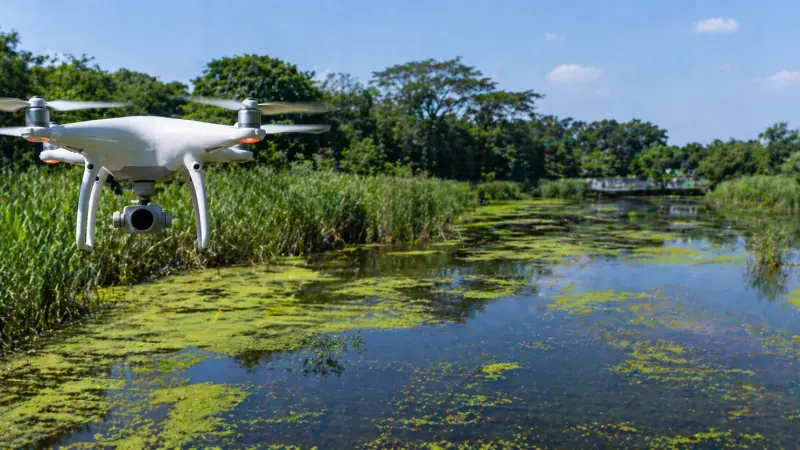 Using Drones for Monitoring Water Pest Infestations