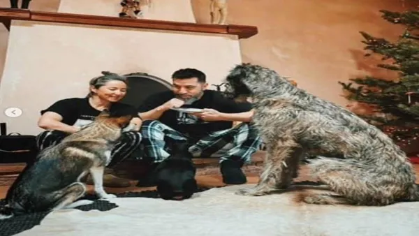 KT Tunstall Dwarfed by Massive Irish Wolfhound in New Photos
