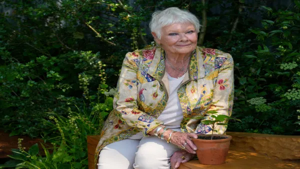 Judi Dench Fights to Save London’s 50 At-Risk Parks