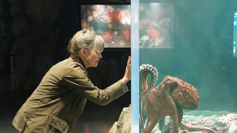 47 Best Movies on Netflix Right Now (May 2026): A Curated Guide to Streaming Gold