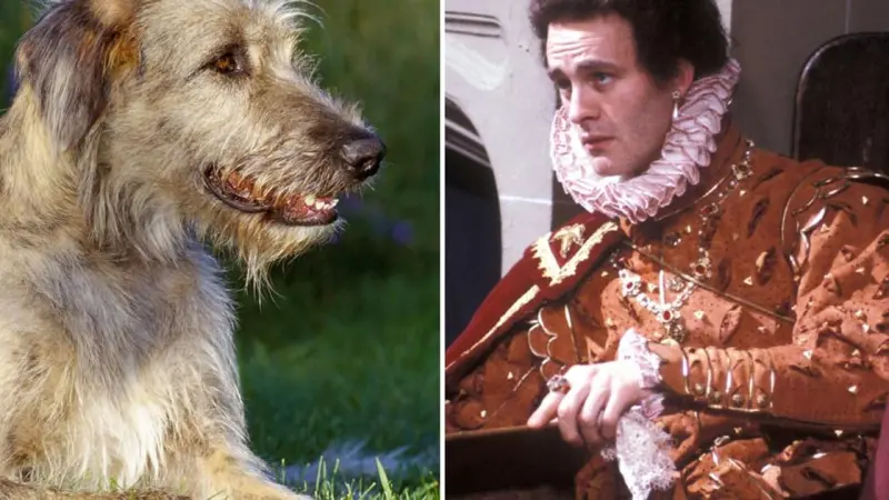 Tim McInnerny Attacked by Giant Irish Wolfhounds on Outlander Set: Blackadder Star Endures 'Mauling'