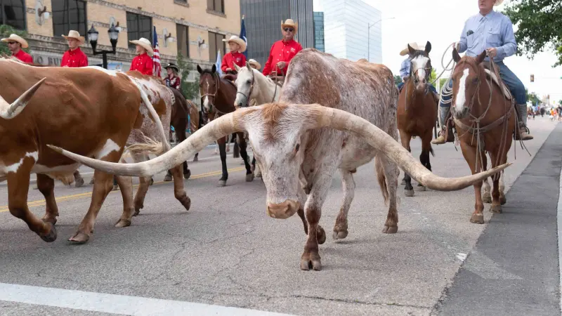 Amarillo’s June 4-7 Weekend: Rodeos, Route 66 Centennial, Motorcycle Skills, and Country Legends