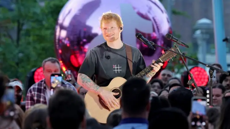 Ed Sheeran and Martin Garrisk Crash Chicago Wedding, Perform 'Perfect' for Surprised Couple