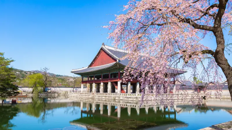 Netflix’s June 2025 K-Drama Lineup: The 10 Must-Watch Series That Will Transport You to South Korea
