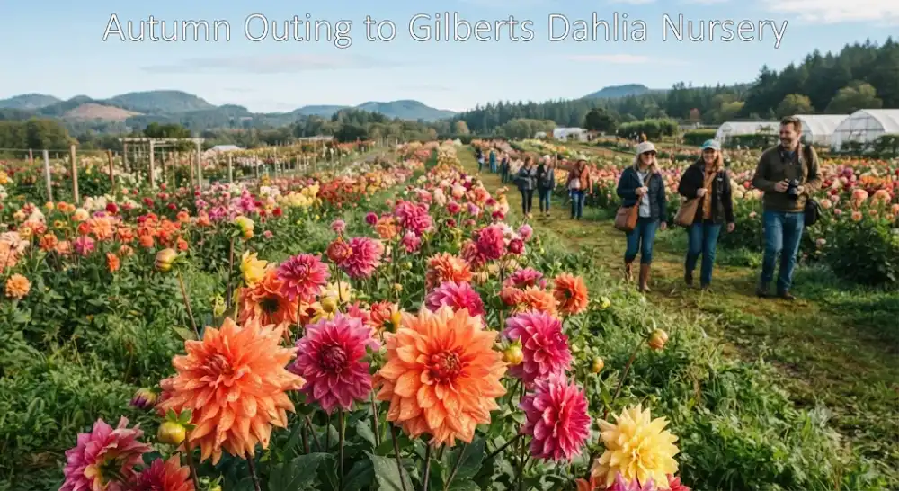Autumn Outing to Gilberts Dahlia Nursery
