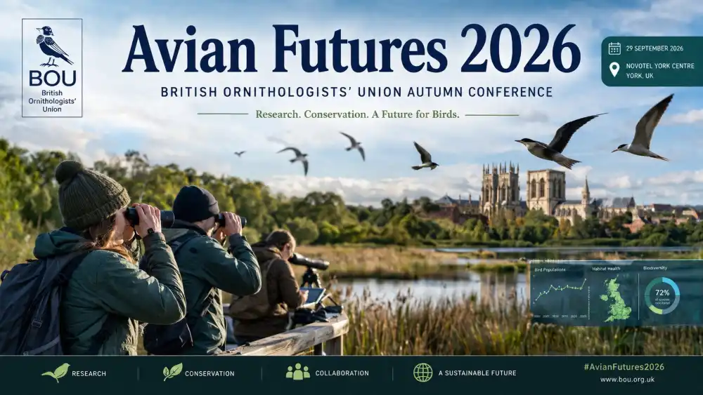 Avian Futures