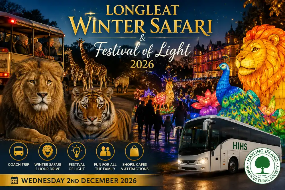 Longleat Winter Safari & Lights