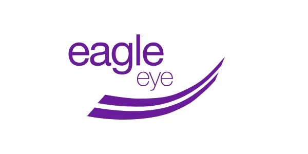 Eagle Eye Solutions Group
