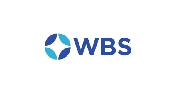World Business Strategies Ltd