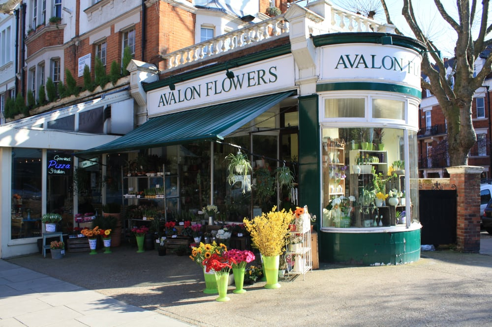 Avalon Flowers