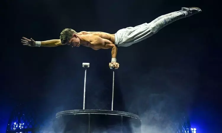 Circus Zyair