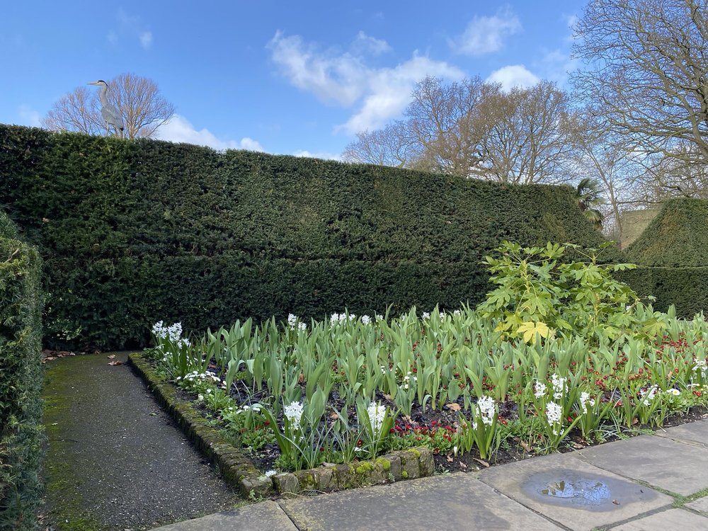Holland Park