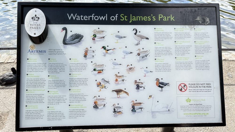 St. James's Park