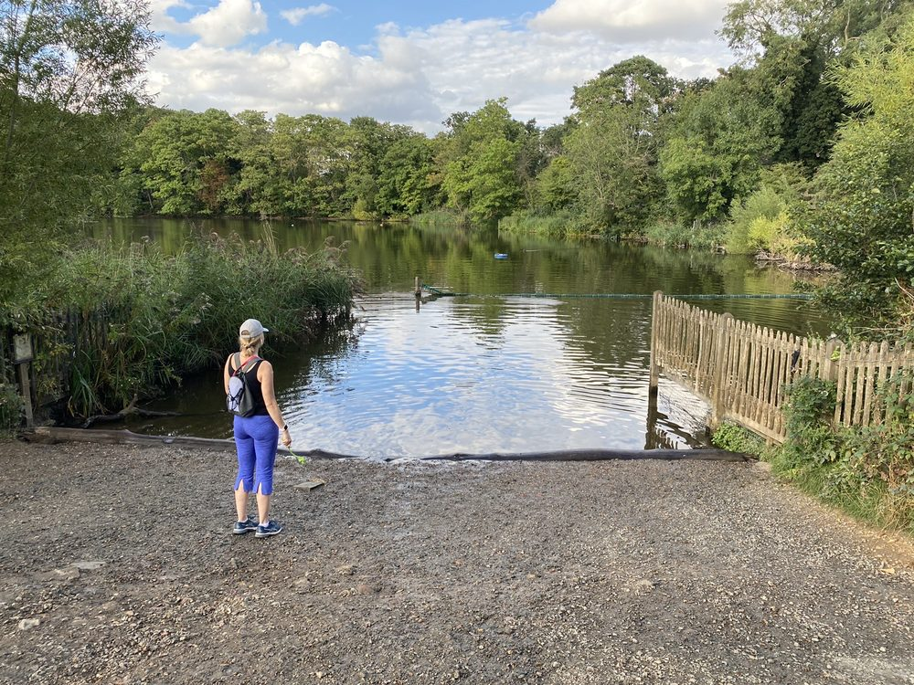 Hampstead Heath