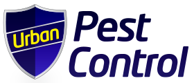 Wasp Nest Removal Poole Wareham at Urban Pest Control