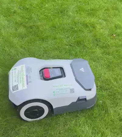 Green Mowment