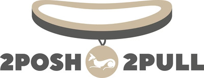 Best Collar for Dogs That Pull | 2Posh2Pull