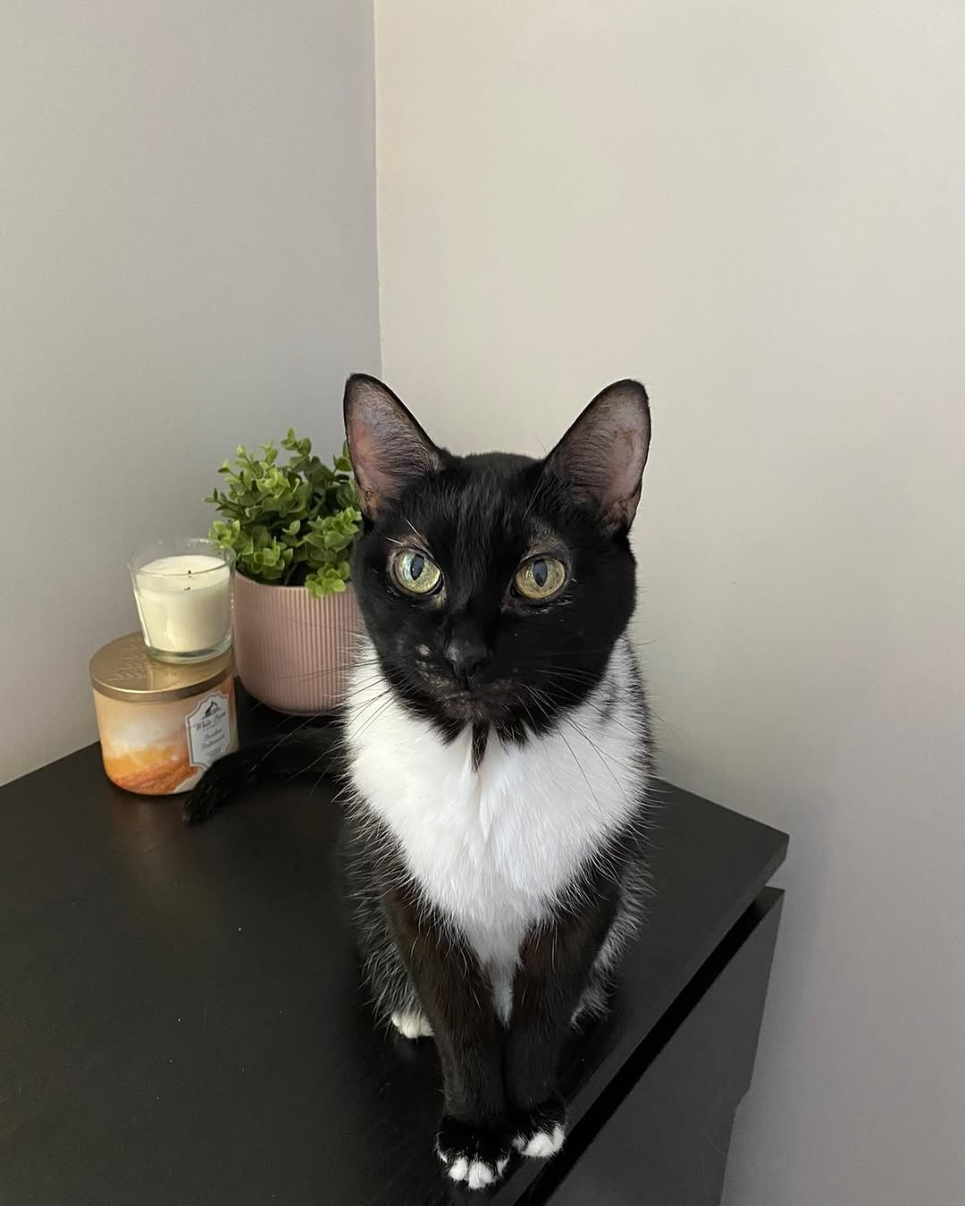 Clara