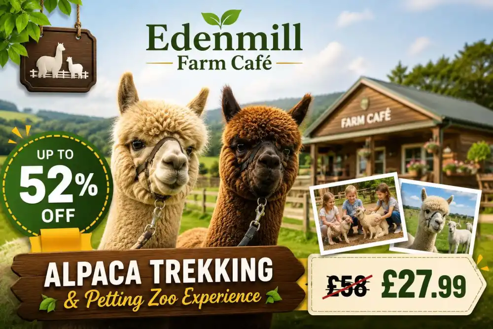 Up to 52% Off Alpaca Trekking & Petting Zoo Experience for Four